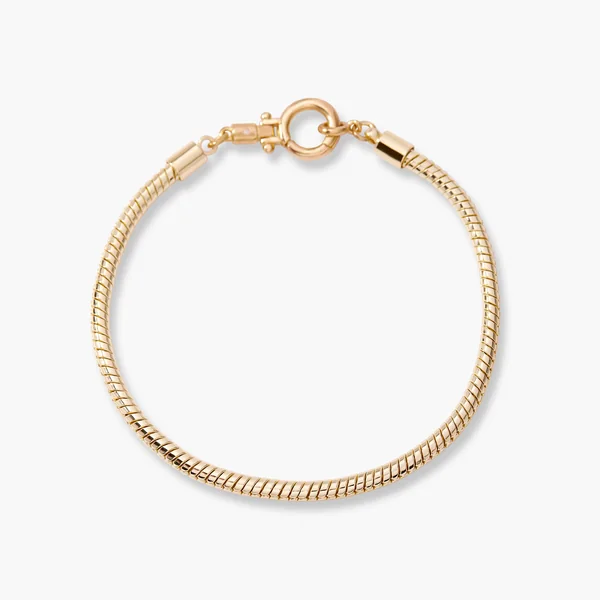 Brook & York short-form post: a gold snake-chain Adele charm bracelet with a round clasp on a white background.