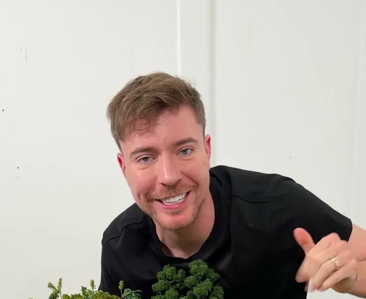 MrBeast short-form post: a smiling man in a black t-shirt leaning over a miniature model village.